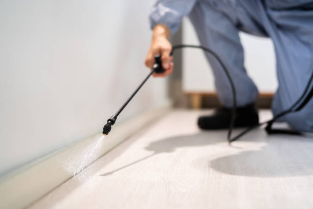 Licensed Rodent Control service in Thomaston, GA - Nex Pest Control