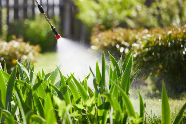 24/7 Emergency Rodent Control experts in Thomaston, GA