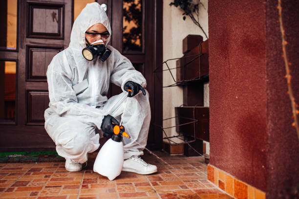 Reliable Rodent Control contractor in Thomaston, GA by Nex Pest Control